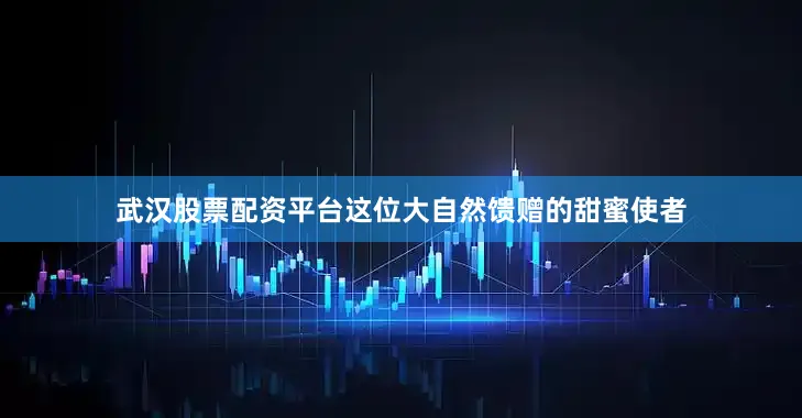 武汉股票配资平台这位大自然馈赠的甜蜜使者